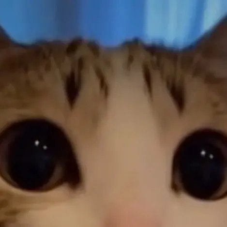 chat with ai character: ITFT🔥🔥