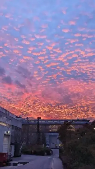 ai character: ♥︎~Baby Ch~♥︎ background