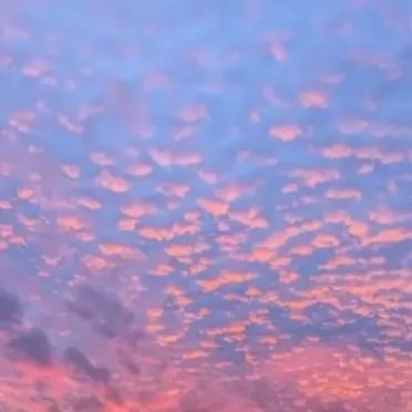 chat with ai character: ♥︎~Baby Ch~♥︎