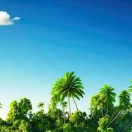 chat with ai character: Island 