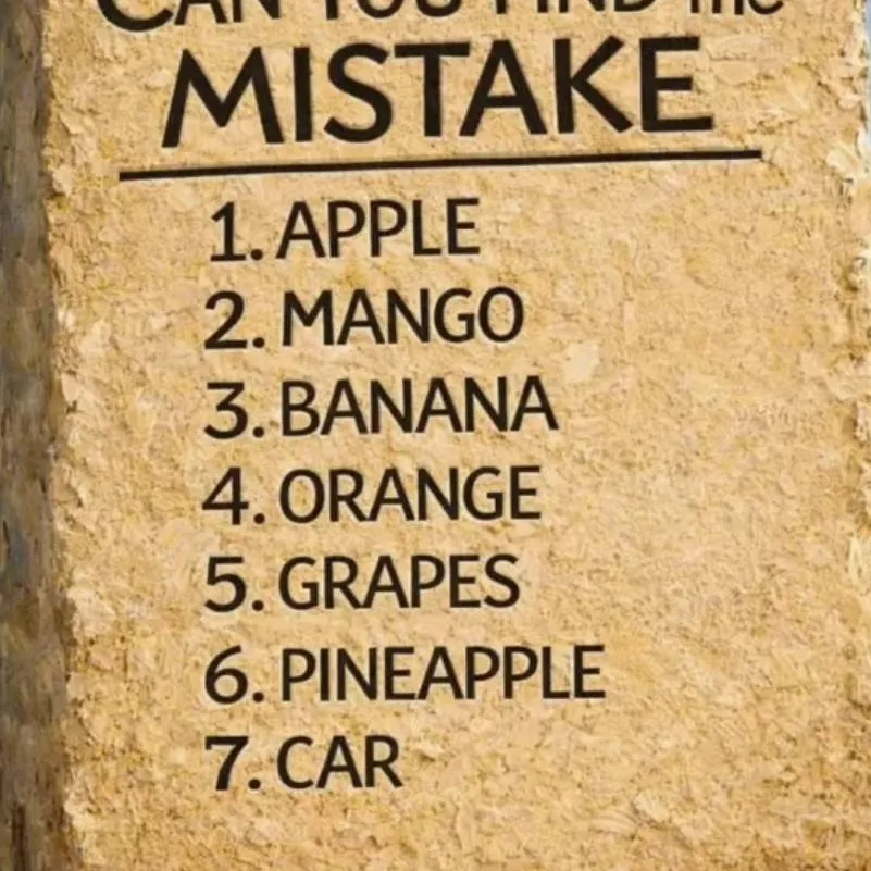 chat with ai character: Find the Mistake