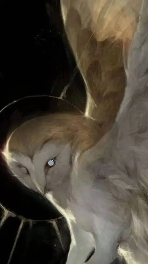 ai character: Suindara  background