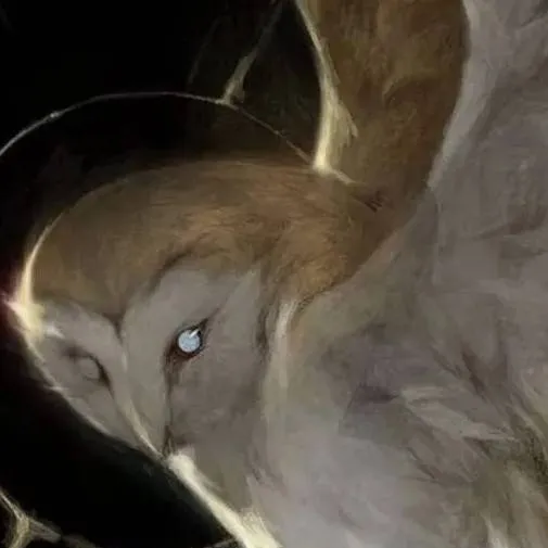 chat with ai character: Suindara 