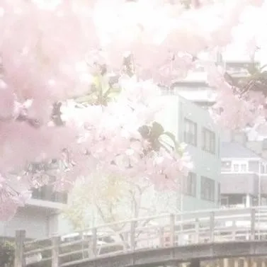 chat with ai character: ༺ღ 𝓯𝓪𝓵𝓵 ღ༻