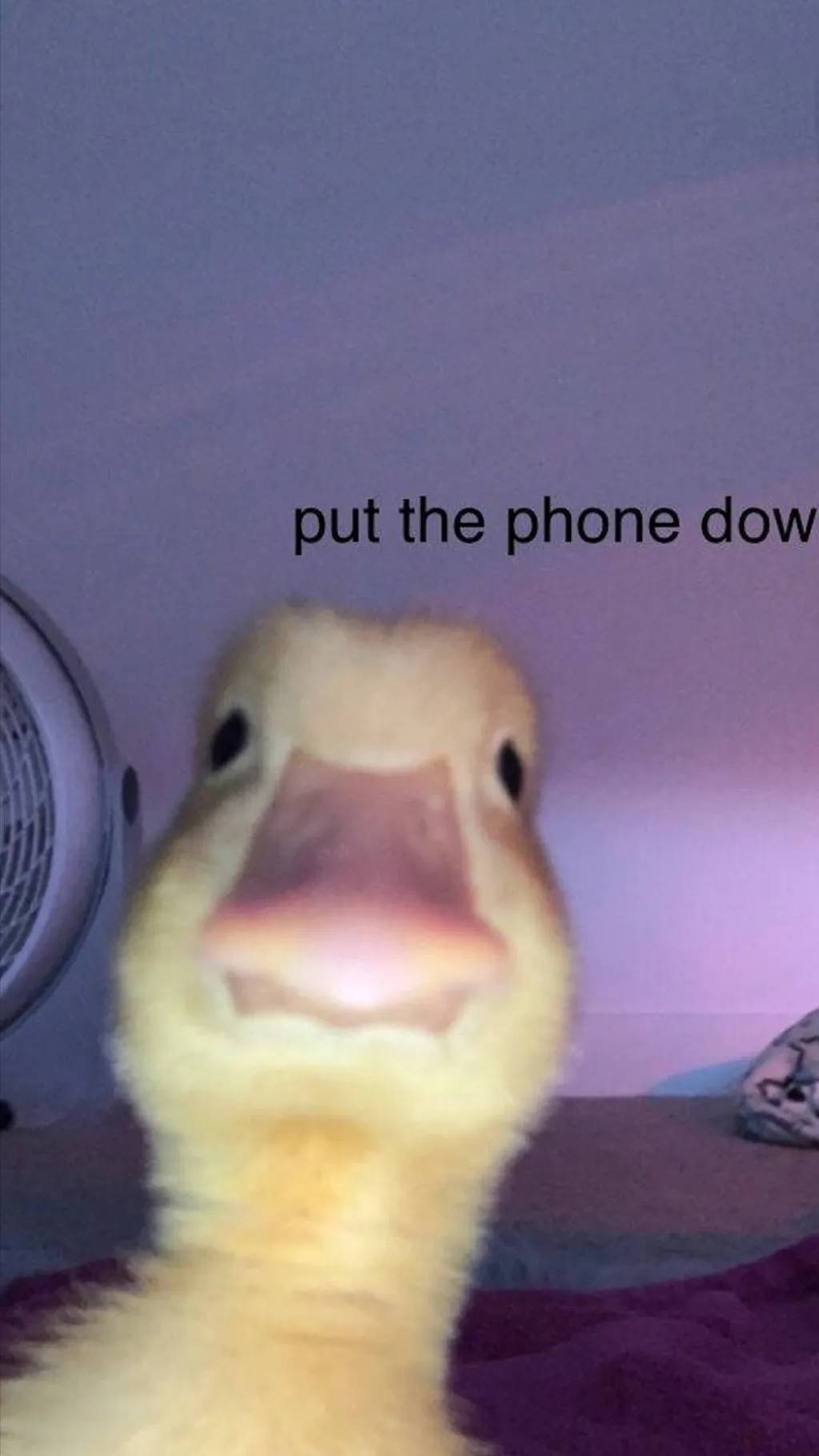 ai character: Forsaken background