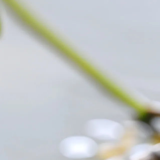 chat with ai character: a green pill