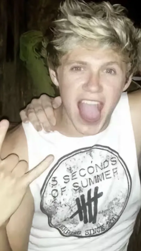 ai character: Niall Horan background
