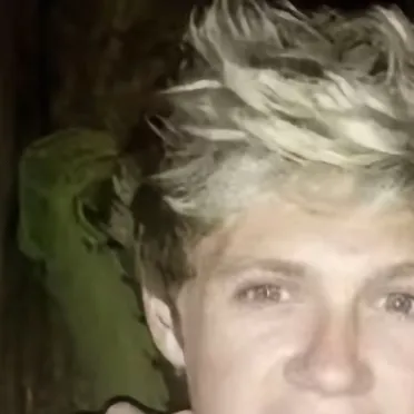 chat with ai character: Niall Horan