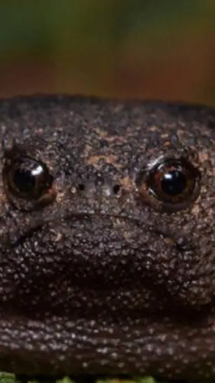 ai character: mha party background