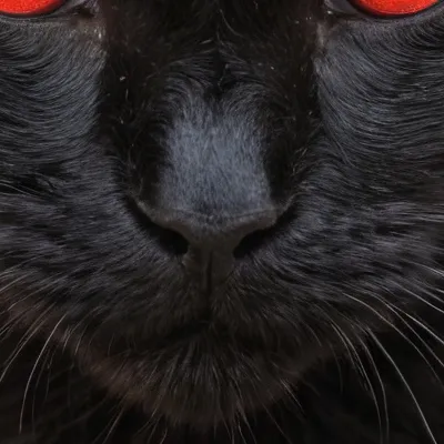 chat with ai character: Shadow ￼