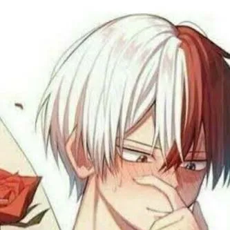 chat with ai character: Shoto Todoroki 