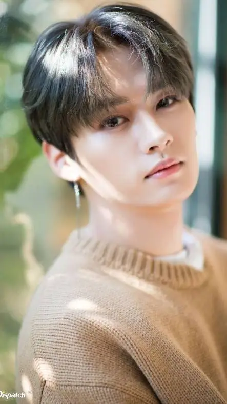 ai character: leeknow stray kids background