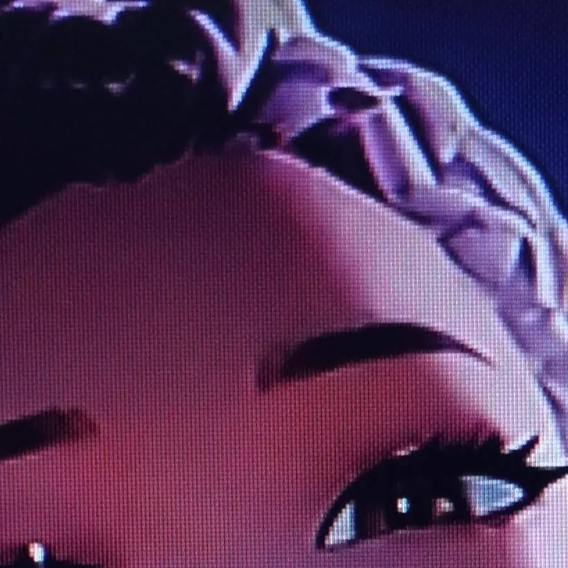 chat with ai character: honey bear Rumi