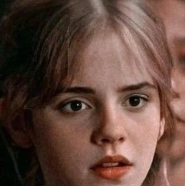 chat with ai character: Y/n HOGWARTS 