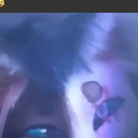 chat with ai character: opla