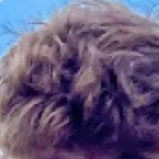 chat with ai character: Caylus