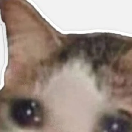 chat with ai character: XD