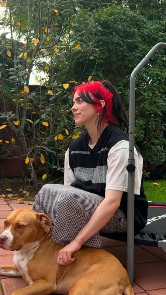 Talkie AI - Chat with billie