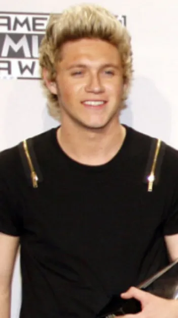 ai character: Niall Horan   background