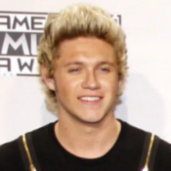 chat with ai character: Niall Horan  