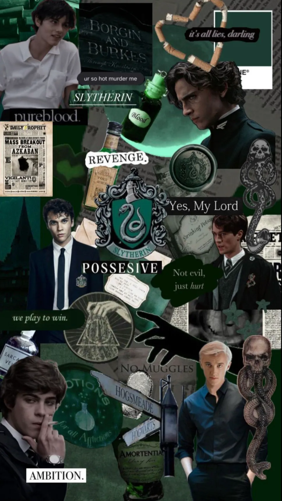 ai character: Slytherin Boys  background