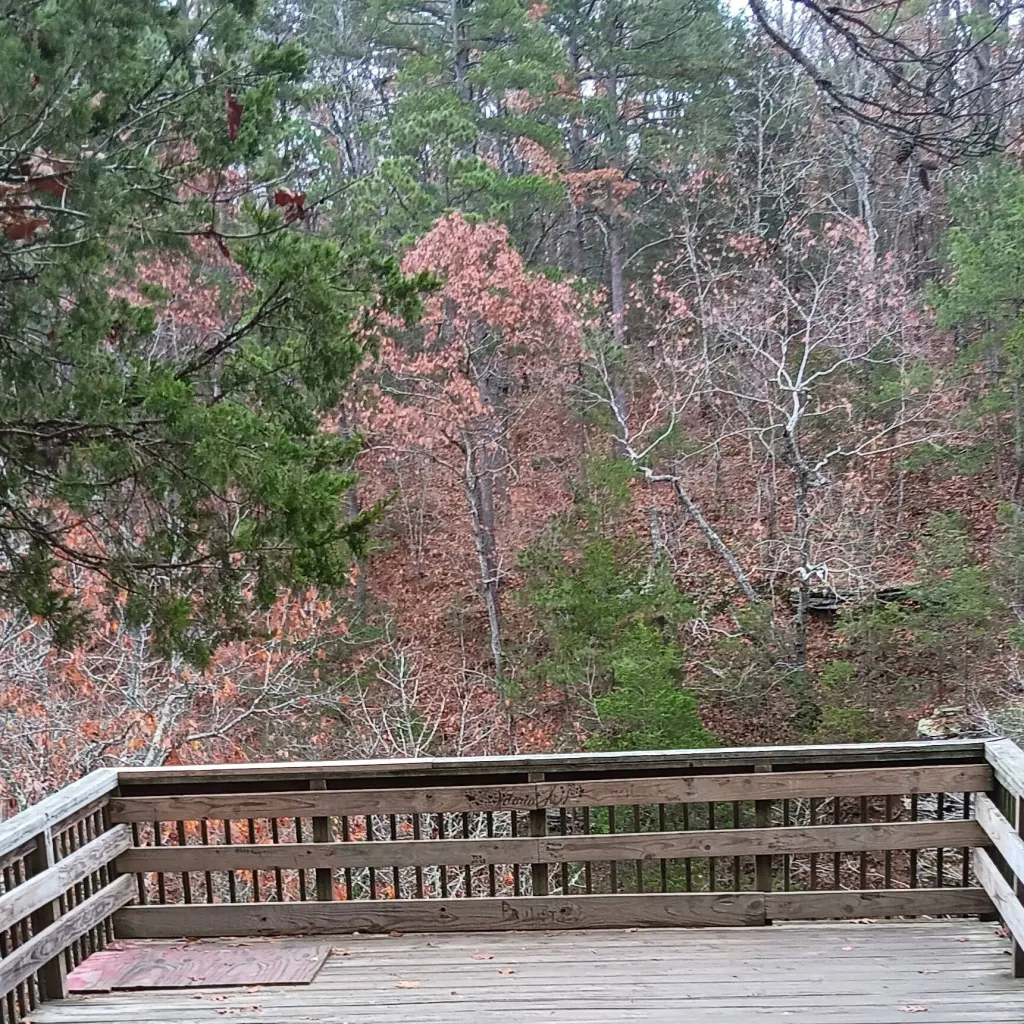 chat with ai character: Gods at your sch