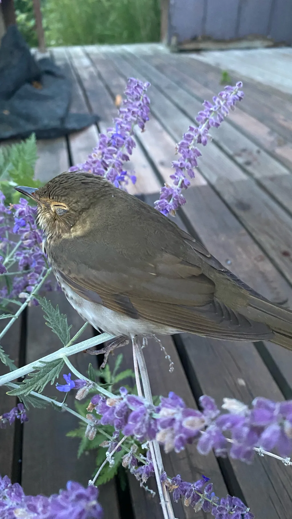 ai character: Zodiac signs background