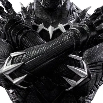 chat with ai character: Black Panther 