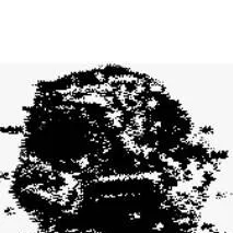 chat with ai character: A-90