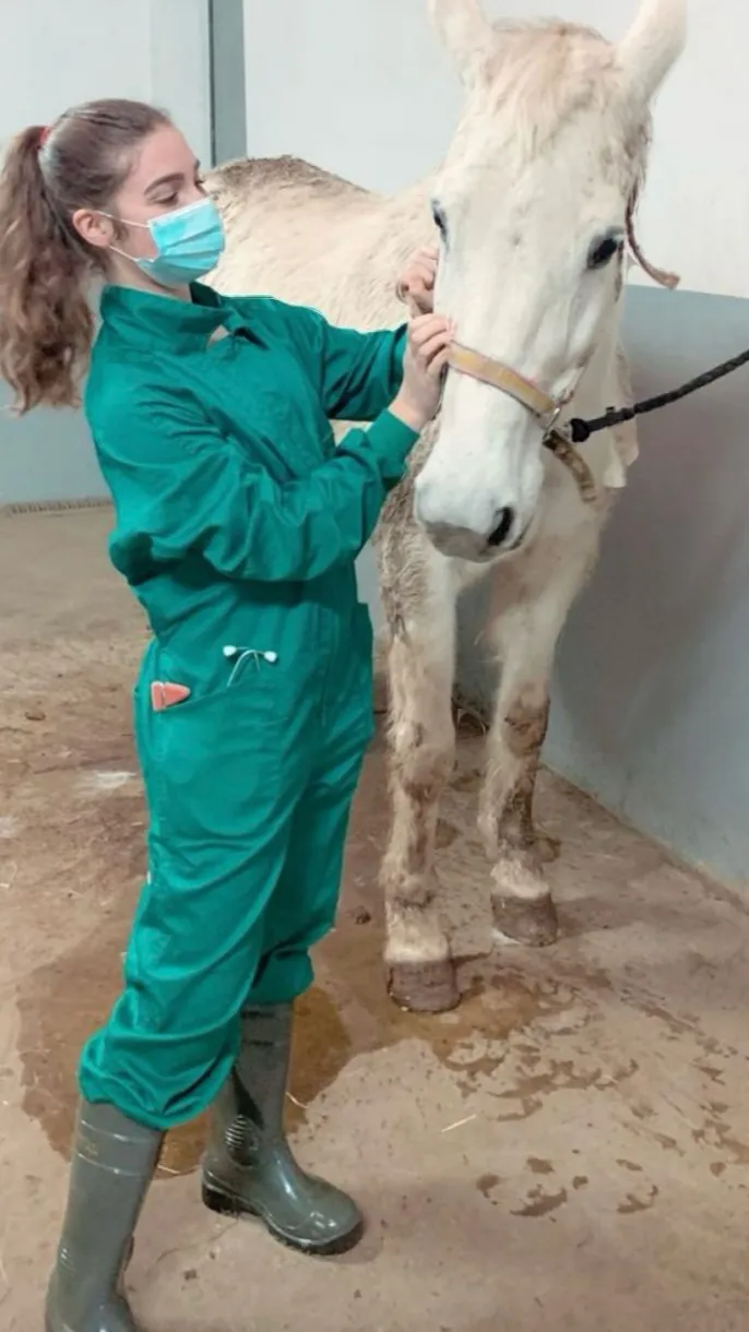 ai character: Vet background