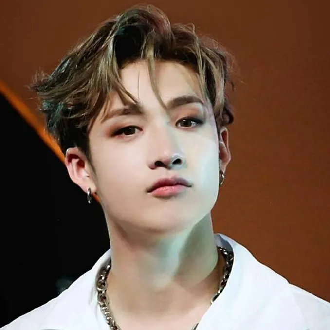 chat with ai character: Chan Woo (B. Chan)