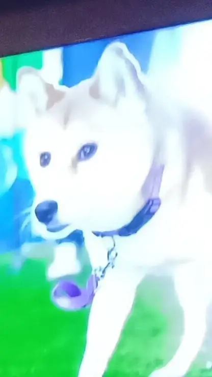 ai character: stray dog background
