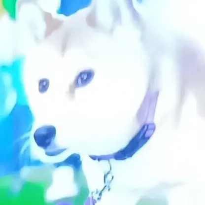 chat with ai character: stray dog