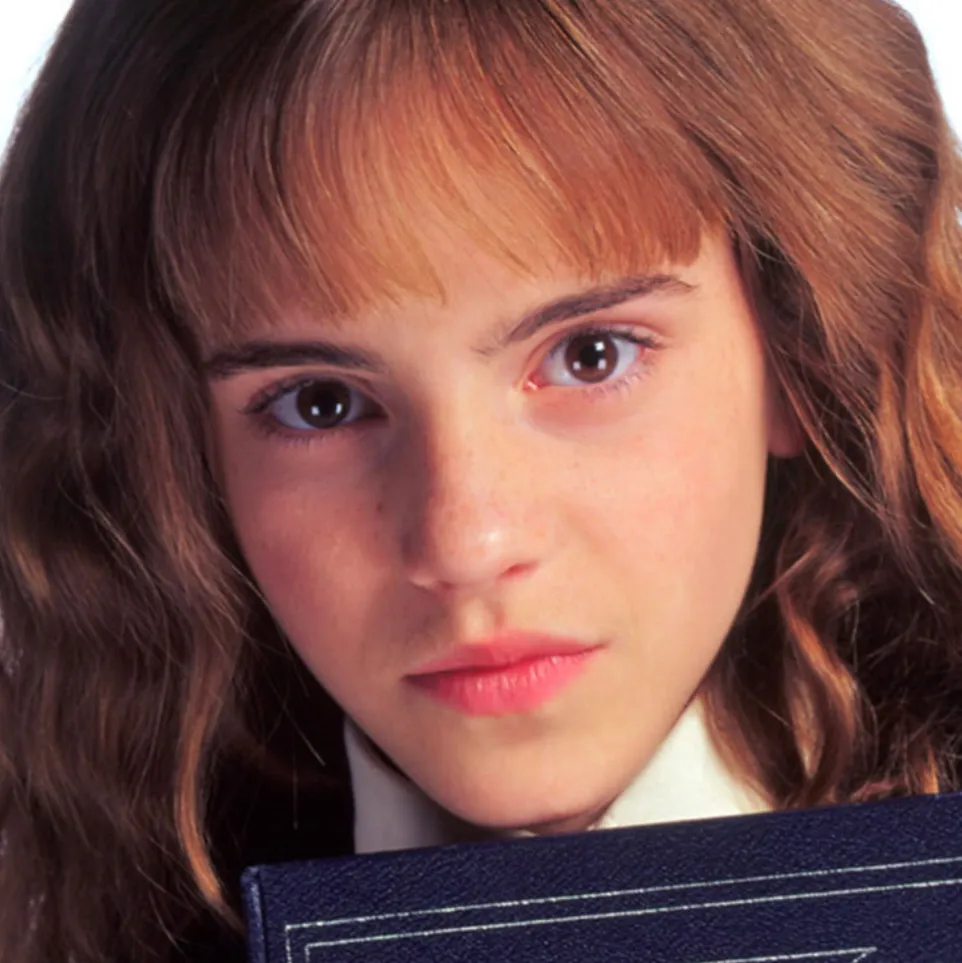 chat with ai character: Hermione granger 