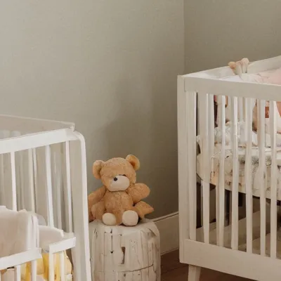 chat with ai character: Adoption centre 