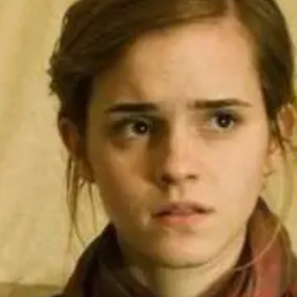 chat with ai character: Hermione