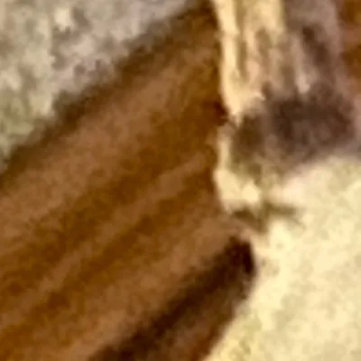 chat with ai character: Deer taxidermy guy