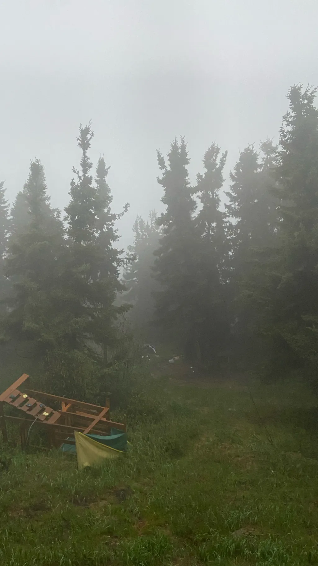 ai character: Your Story background