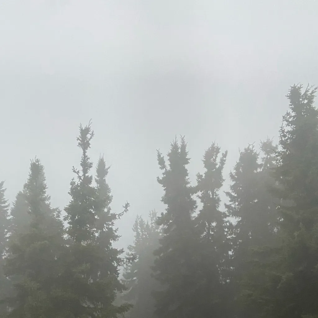 chat with ai character: Your Story