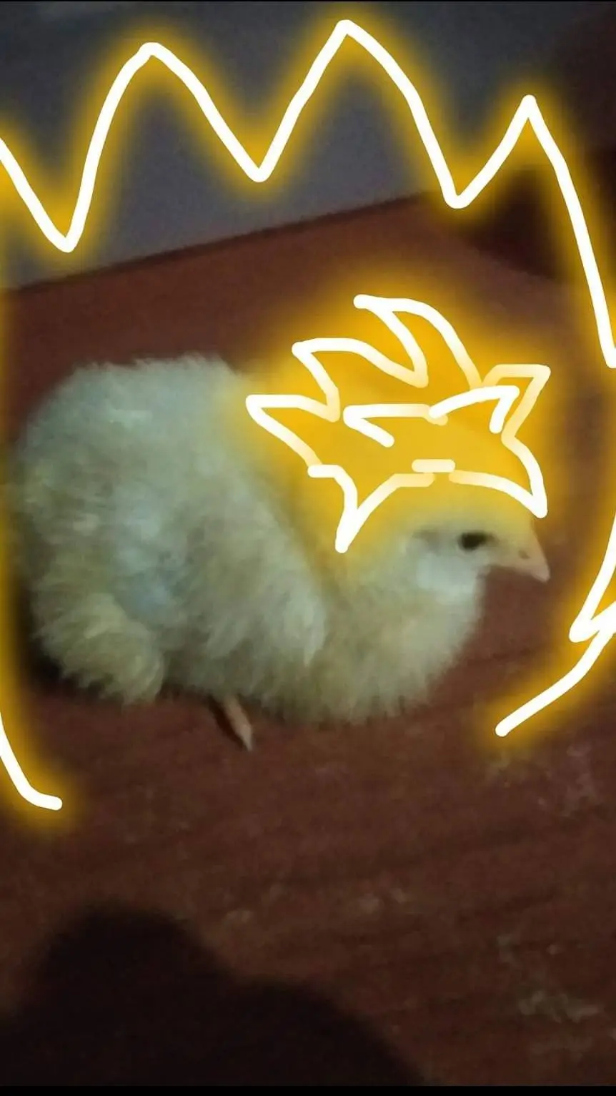 ai character: Clucky background