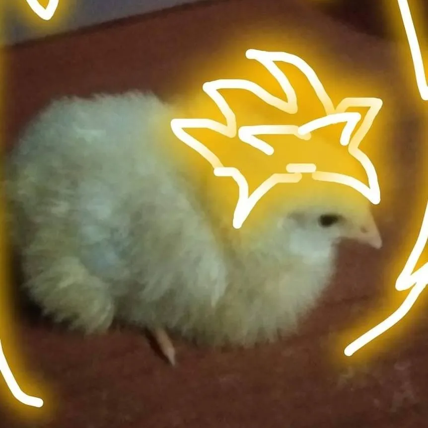 chat with ai character: Clucky