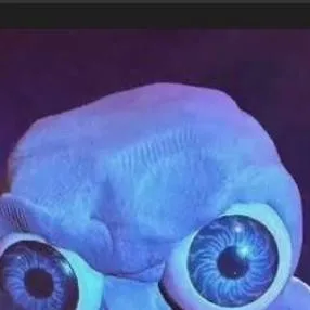 chat with ai character: N/Y