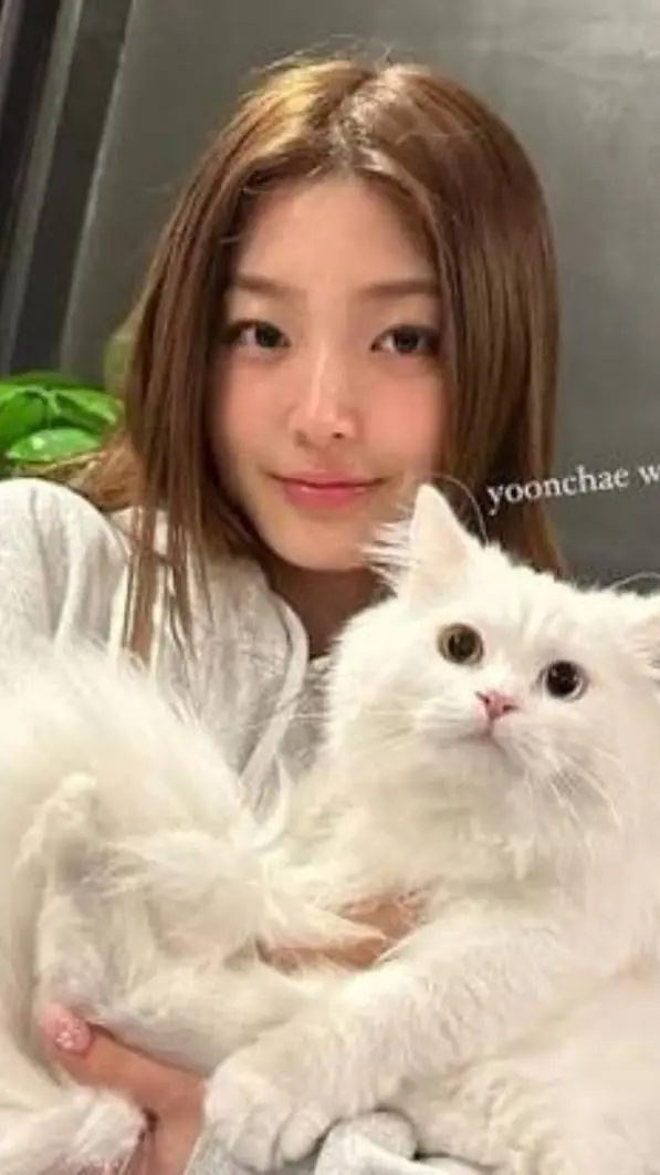 ai character: ♡yoonchae♡ background