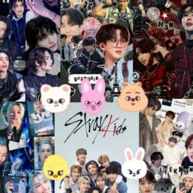 chat with ai character: ~♡stray kids#skz♡~