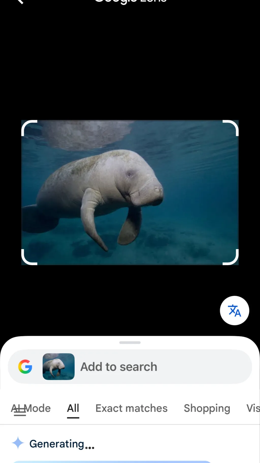 ai character: Manatee background