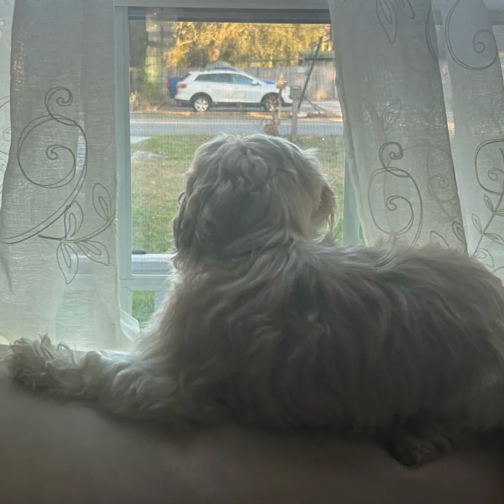 chat with ai character: Vivi