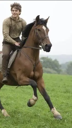 ai character: joey and Albert  background