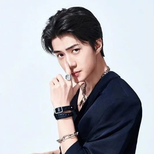 chat with ai character: Oh Se-hun