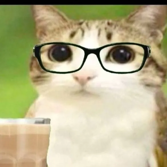 chat with ai character: Meowi 