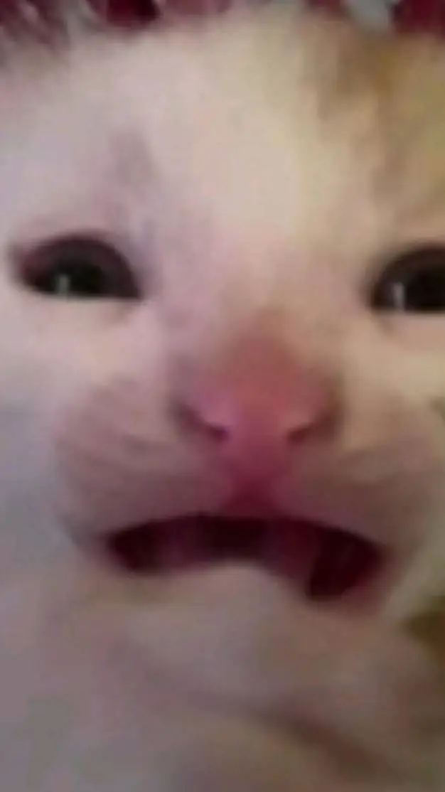 ai character: Zoey xdd  background